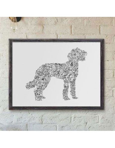 Labradoodle pour bénéficier 