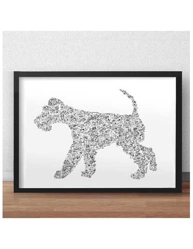 Wirehaired Fox Terrier des créatures d'habitude