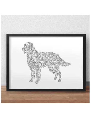 French Spaniel Comparez plus de prix