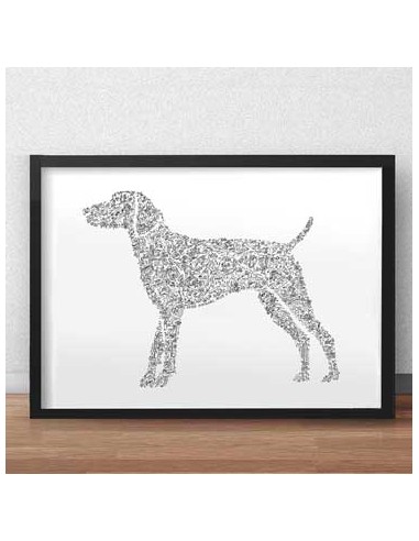 German Shorthaired Pointer - GSP l'évolution des habitudes 