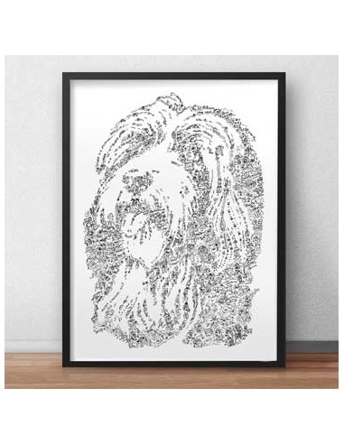 Bearded Collie prix