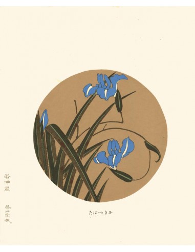 Iris bleu de Jakuchu Ito | Reproduction Fine Art brillant des détails fins