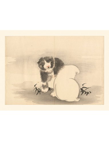 Chiots de Matsuda Kajo, Deux chiots | Reproduction Fine Art en ligne