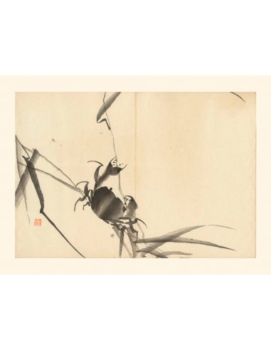 Crabe de Matsuda Kajo | Reproduction Fine Art pas chere