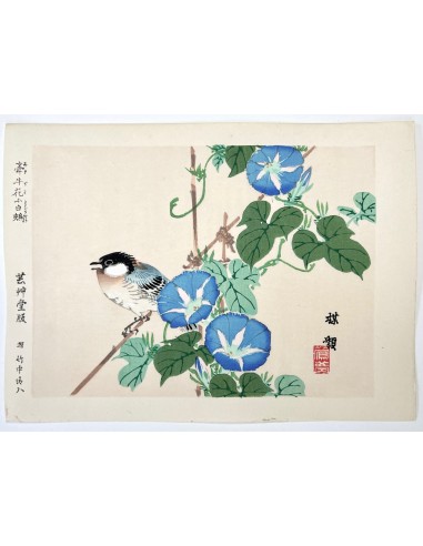 Estampe Japonaise de Kono Bairei | Oiseau et Liseron Bleu En savoir plus