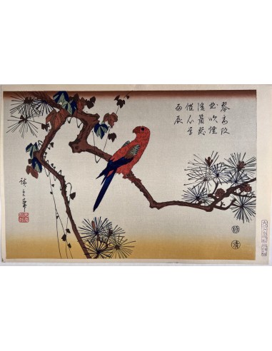 Estampe Japonaise de Hiroshige | Perruche sur une branche de pin Les êtres humains sont 