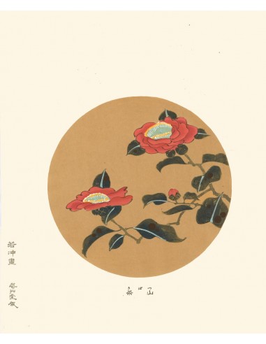 Camelia Tsubaki  de Jakuchu Ito | Reproduction Fine Art En savoir plus