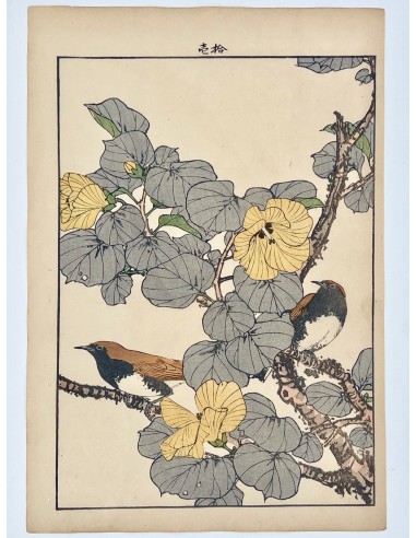 Estampe Japonaise de Keinen Imao | Oiseau et Hibiscus de Chine commande en ligne