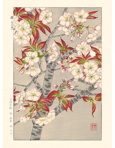 Cerisier en Fleurs de Kawarazaki Shodo | Reproduction Fine Art en ligne