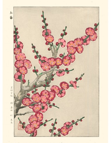 Fleurs de Prunier de Kawarazaki Shodo | Reproduction Fine Art commande en ligne