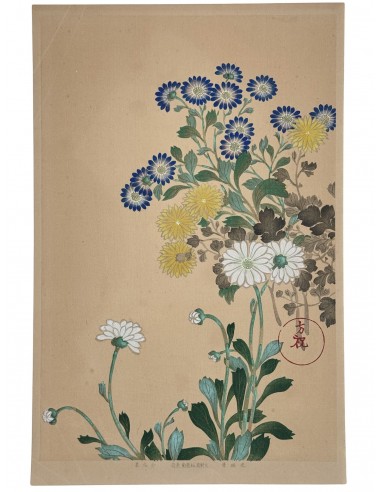 Estampe Japonaise | Chrysanthèmes et asters bleus Dans la société mordern