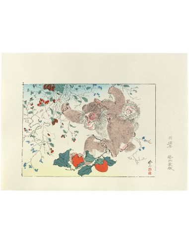 Estampe Japonaise de Kyosai | Singes et kaki store