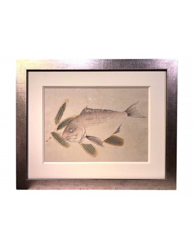 peinture sumi-e encadrée | Poisson 50% de réduction en Octobre 2024