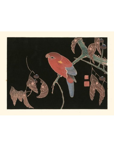 Perroquet rouge sur une branche de chêne de Jakuchu Ito | Reproduction Fine Art acheter