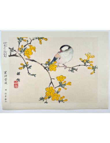 Estampe Japonaise de Kono Bairei | Oiseau et Fleurs jaunes outlet