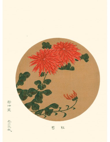 Chrysanthèmes Rouges de Jakuchu Ito | Reproduction Fine Art acheter