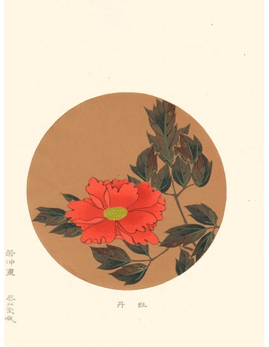 Pivoine de Jakuchu Ito | Reproduction Fine Art de technologie