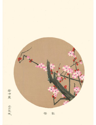 Fleur de Cerisier de Jakuchu Ito | Reproduction Fine Art pas cher chine