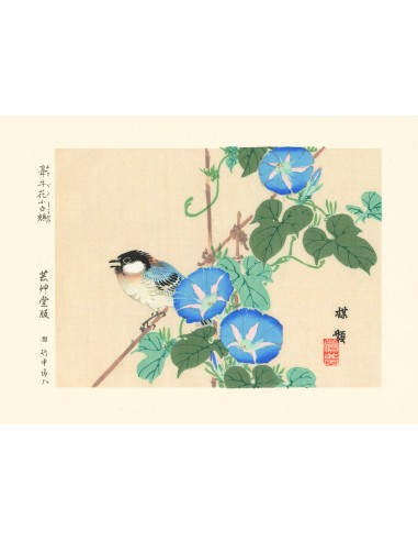 Mésange et liseron bleu de Kono Bairei | Reproduction Fine Art acheter