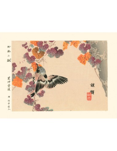 Oiseau à l'automne de Kono Bairei | Reproduction Fine Art solde